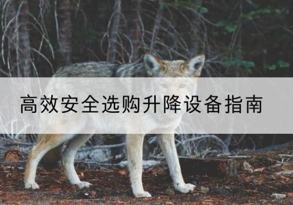 美兰升降货梯厂家推荐-*安全选购升降设备指南