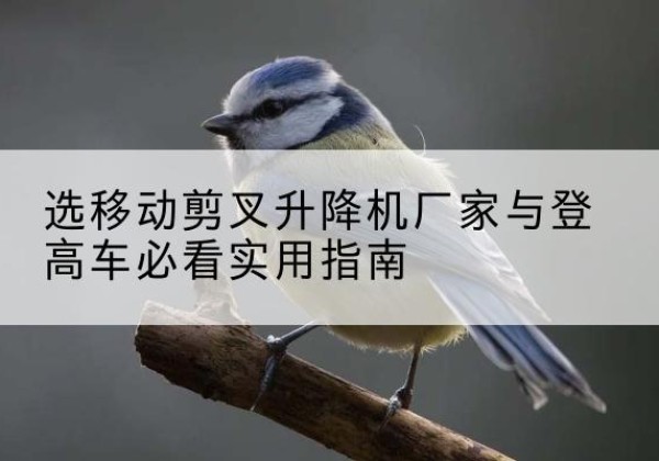 美兰电动升降机厂家-选移动剪叉升降机厂家与登高车必看实用指南