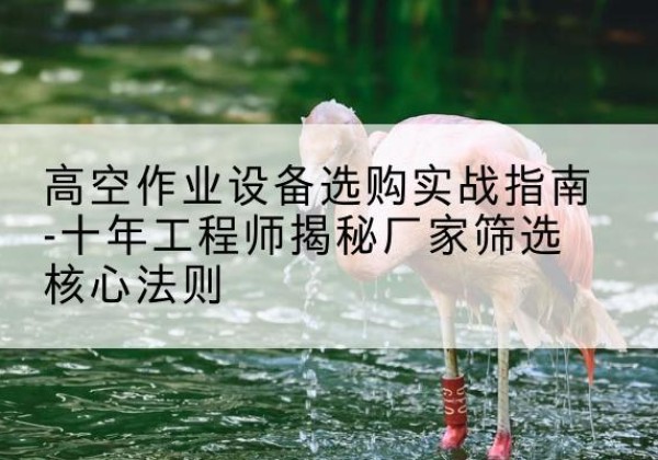 美兰剪叉式升降机厂家-高空作业设备选购实战指南-十年工程师揭秘厂家筛选核心法则